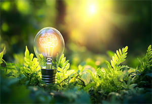 Menninger Clinic | Spring Cleaning: Mind Edition