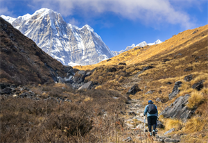 Menninger Clinic | Setting Better Goals for the New Year: Turning Intentions into Action 