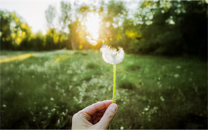 Menninger Clinic | The Power of Positive Thinking: A Habit Worth Building 
