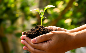 Menninger Clinic | Recovery Is Possible: How the Menninger Bridge Program Supports Lasting Change 