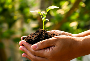 Menninger Clinic | Recovery Is Possible: How the Menninger Bridge Program Supports Lasting Change 