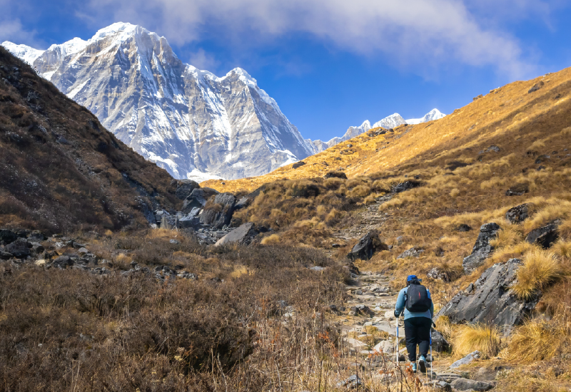 Menninger Clinic | Setting Better Goals for the New Year: Turning Intentions into Action 