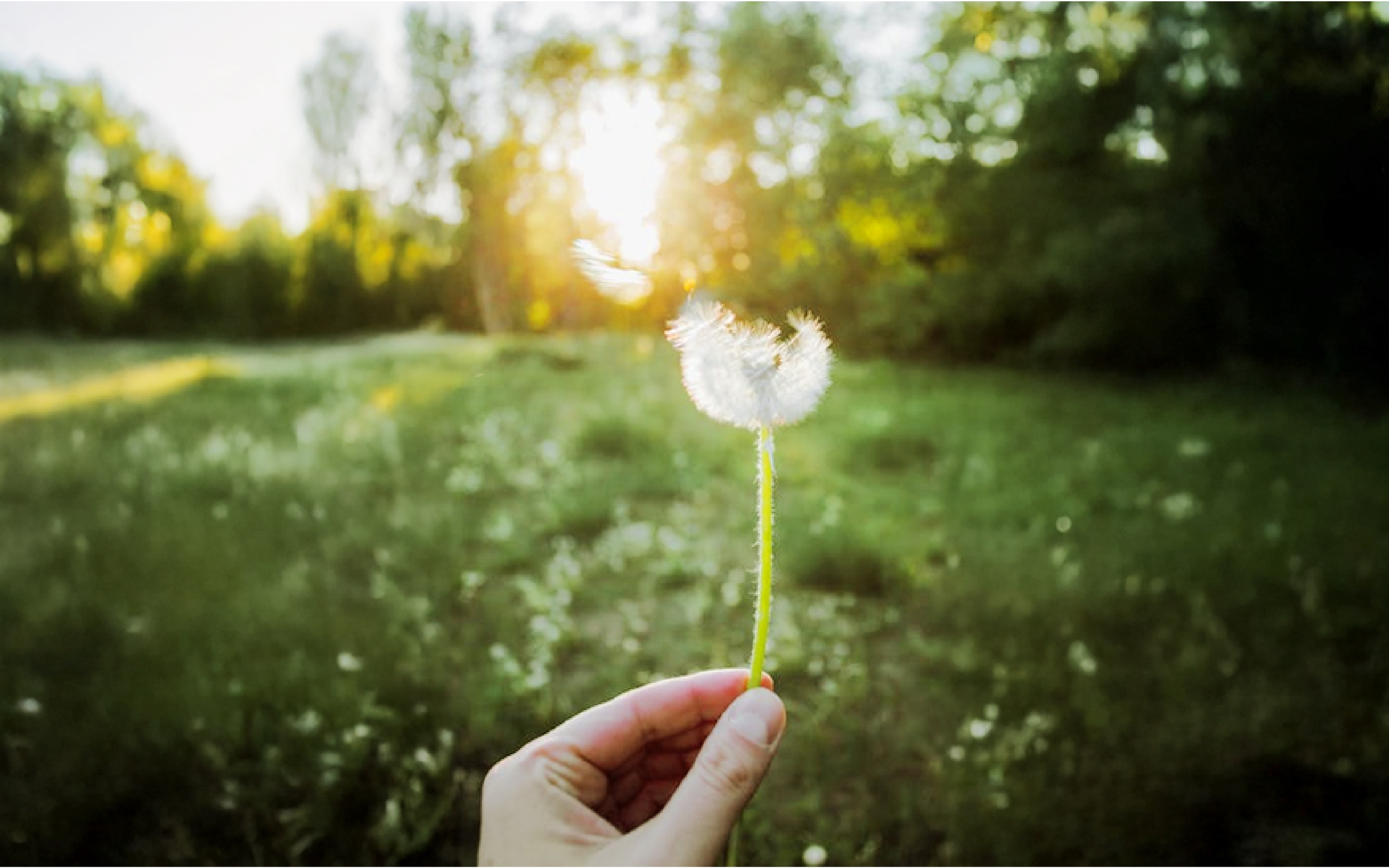 Menninger Clinic | The Power of Positive Thinking: A Habit Worth Building 

