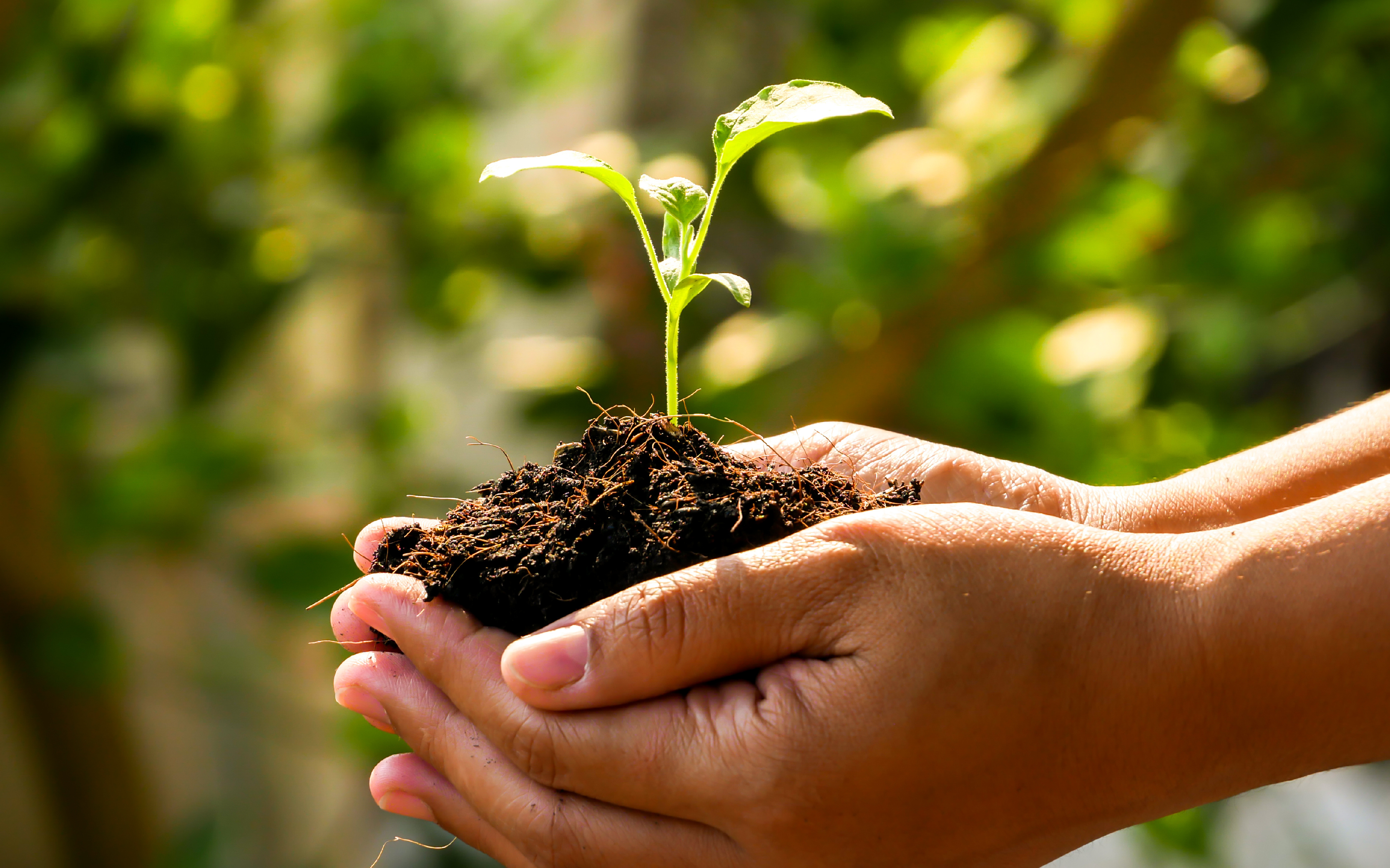 Menninger Clinic | Recovery Is Possible: How the Menninger Bridge Program Supports Lasting Change 