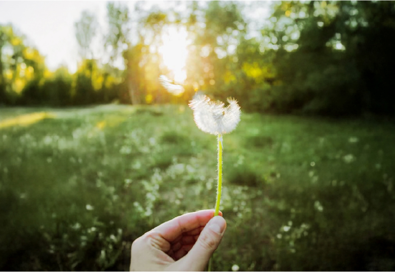 Menninger Clinic | The Power of Positive Thinking: A Habit Worth Building 
