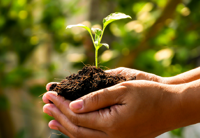 Menninger Clinic | Recovery Is Possible: How the Menninger Bridge Program Supports Lasting Change 